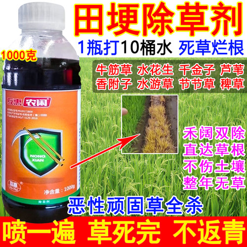 田埂除草剂水稻田埂专用除草剂埂道杂草连根杀稗草芦苇游草一扫光