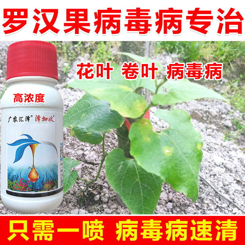 罗汉果病毒病罗汉果花叶病卷叶小叶黄叶专治氨基寡糖素杀菌剂