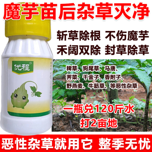 魔芋除草剂魔芋苗后专用除草剂定向喷雾封草除草斩草除根不伤苗