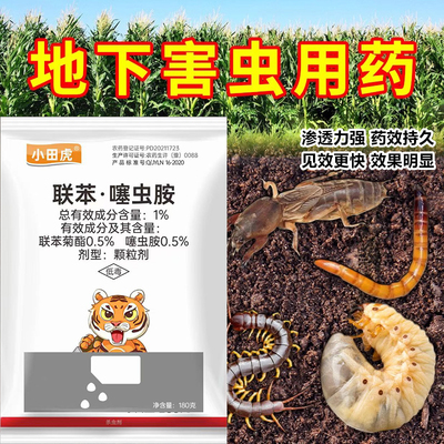 噻虫胺地下害虫全杀花生大蒜地老虎蛴螬蒜蛆蝼蛄土壤害虫杀虫药