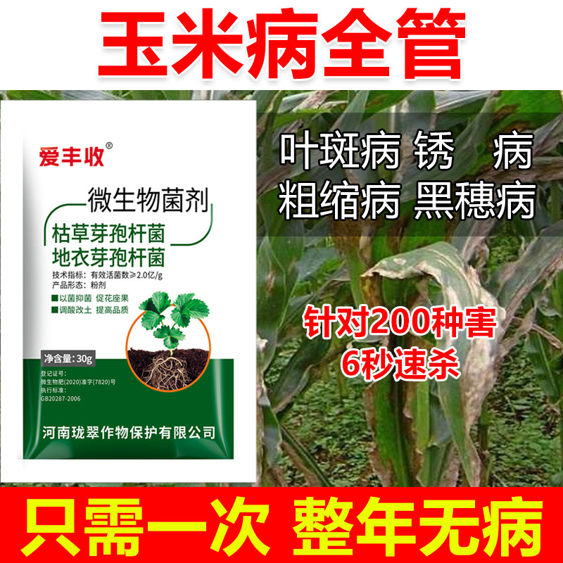 玉米病全治玉米杀菌剂玉米专用药玉米叶斑病锈病粗缩病黑穗病全管