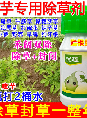 魔芋专用除草剂魔芋苗后除草剂禾阔双除草死根定向喷雾不伤苗正品