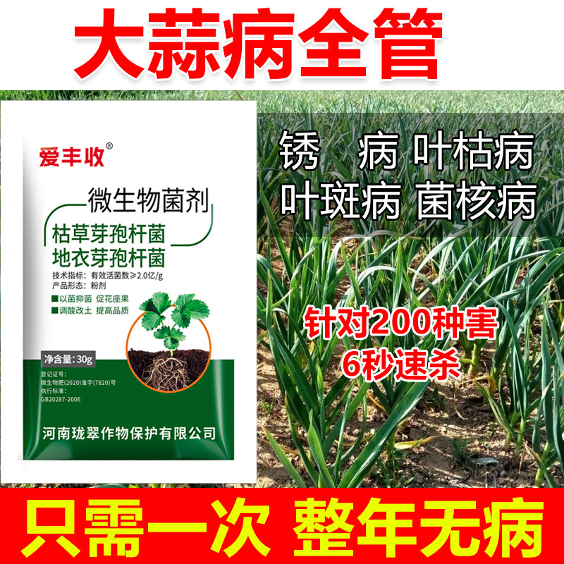 大蒜病全治大蒜杀菌剂大蒜专用药大蒜锈病叶枯病叶斑病软腐病全管