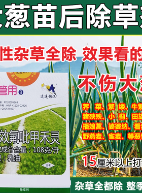 大葱除草剂大葱苗后除草剂禾阔通除不伤大葱封闭除草灰菜香附子