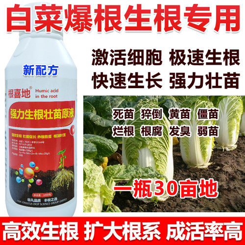白菜生根剂白菜生根粉白菜壮苗剂速效生根液叶面肥白菜生根壮苗