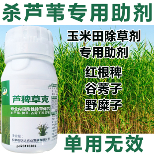 玉米除草剂专用助剂杀芦苇红根稗谷莠子野糜子杂草专杀除草助剂