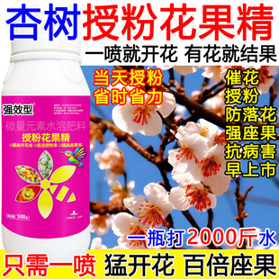 杏树授粉药壮花座果灵杏树催花素沾花素保花保果膨大抗病肥料正品