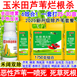 玉米芦苇锄草剂正品强效环磺酮玉米苗后除草剂组合芦苇死根不伤苗