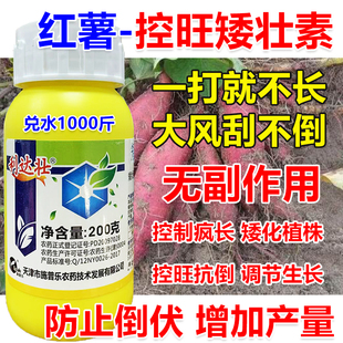 红薯矮壮素红薯生长调节剂红薯控旺剂红薯控旺药控制疯长增产