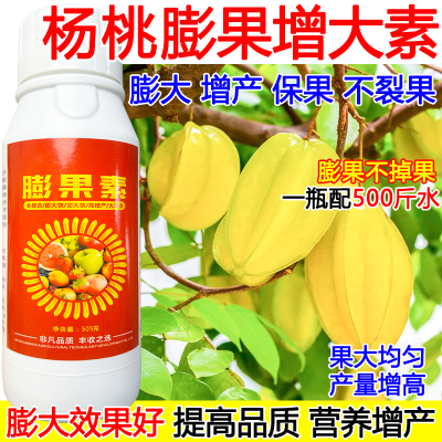 杨桃膨果素杨桃膨大剂叶面肥强效果树膨大增产增甜防裂果肥料正品