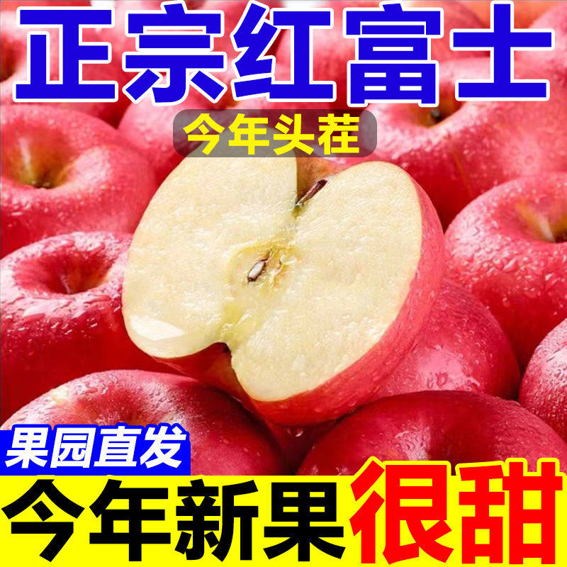 新鲜白水红富士苹果陕西当季水果脆甜皮薄无渣5斤冰糖心丑平果9斤,水产肉类/新鲜蔬果/熟食,苹果,淘宝优惠券,粉丝福利购,淘宝优惠卷