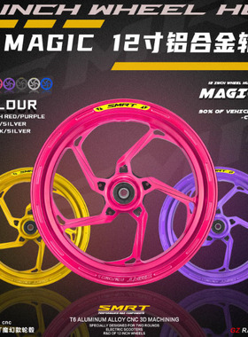 SMRT魔幻轮毂12寸10寸 九号MZ/NZ/E300P/M95C小牛NXT/FXT极核AE45