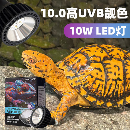 LED乌龟晒背灯全光谱太阳灯UVB灯补钙爬宠蜥蜴防水照龟缸灯泡uva