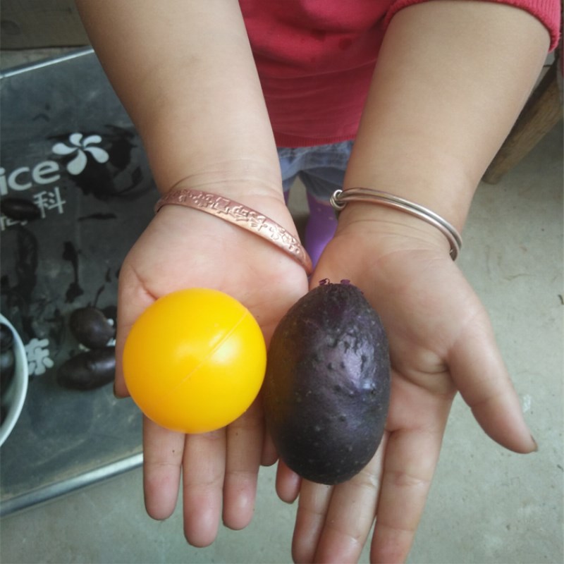 原生态现挖现发小黑美人旱黑金刚