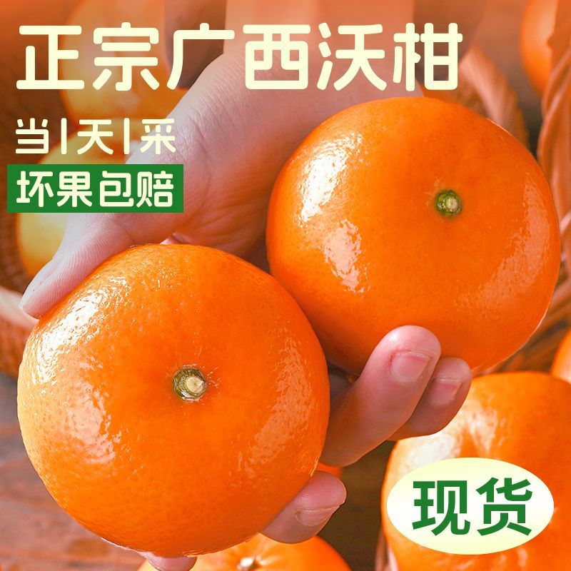 现摘广西皇帝柑应季水果纯甜无酸
