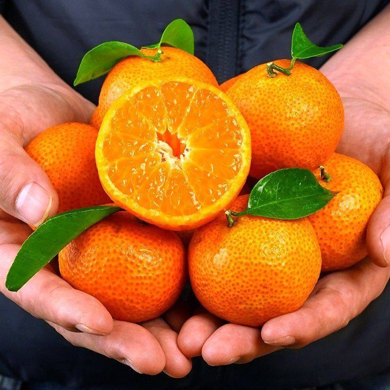 广西沙糖橘红色小桔新鲜当季水果糖桔薄皮酸甜无籽非正宗沙糖桔,水产肉类/新鲜蔬果/熟食,桔子,淘宝优惠券,粉丝福利购,淘宝优惠卷