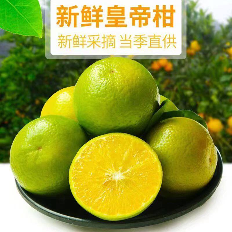 皇帝柑薄皮新鲜贡柑桔子无籽现摘应季广西水果柑橘整箱包邮甜橘子