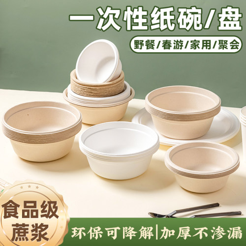 一次性碗饭碗餐盒即弃野餐便当