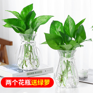 加厚北歐ins風玻璃花瓶透明創(chuàng)意水培植物綠蘿插花器擺件 3個8.8元