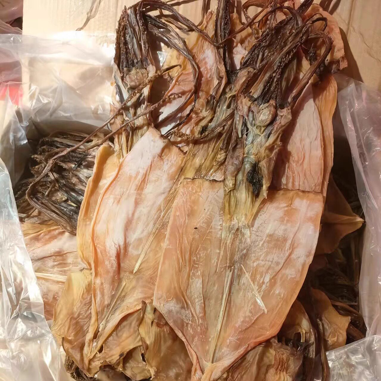 东海特产 水产干货 优质淡水 鱿鱼干 称重500g免邮年货海鲜