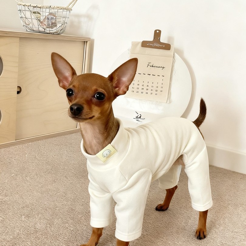 小鹿犬衣服秋冬季弹力德绒保暖打底衫居家服狗狗防着凉连体四脚衣