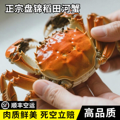 精挑盘锦河蟹95%回购率12年老店