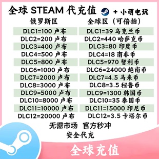 steam代充俄罗斯卢布乌克兰印度哈萨克智利非充值卡余额 可开市场