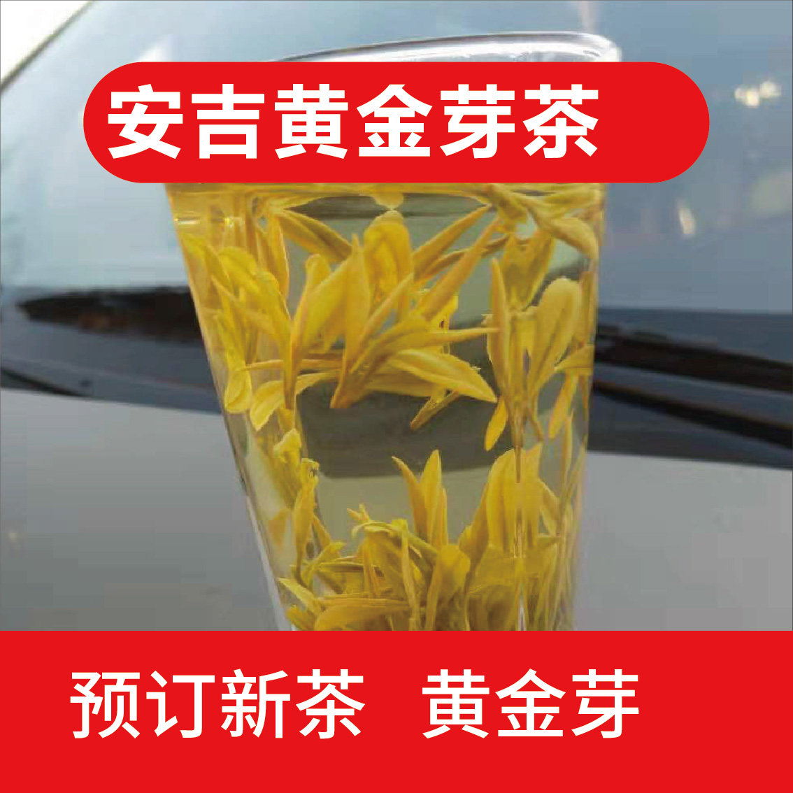 2026年新茶预定 黄金芽 开园茶 头采茶 绿茶 500克 原产地