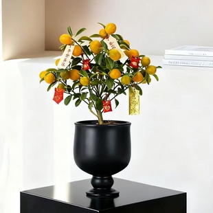 简约现代陶瓷花瓶高颜值水培插花高级感客厅摆件餐桌装饰花器家用