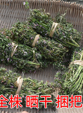 益母草深山红花整颗捆把晒干草药