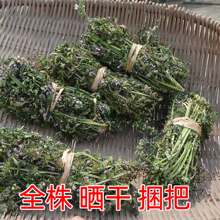 深山益母草农家无硫晒干红花整棵中药材可泡茶泡脚新鲜货益母草茶