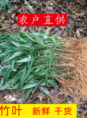 淡竹叶野生新鲜深山中药材干货