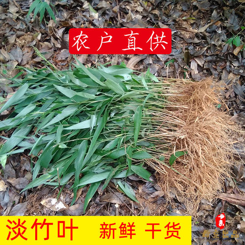 淡竹叶野生新鲜深山中药材干货