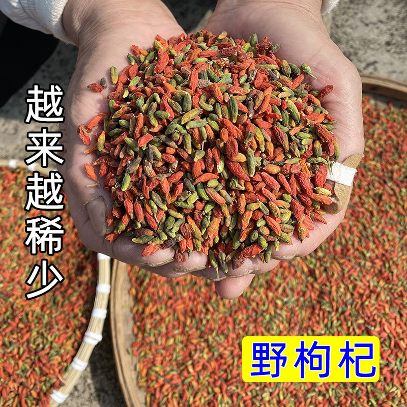 野枸杞深山野生农家生晒无硫枸杞
