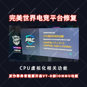 完美世界电竞平台开启CPU虚拟化相关功能VTxD和iommu进不去修复