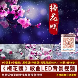 YR438-《梅花赋》伴奏歌词李军孟苇歌曲梅花雪花舞台led背景视频