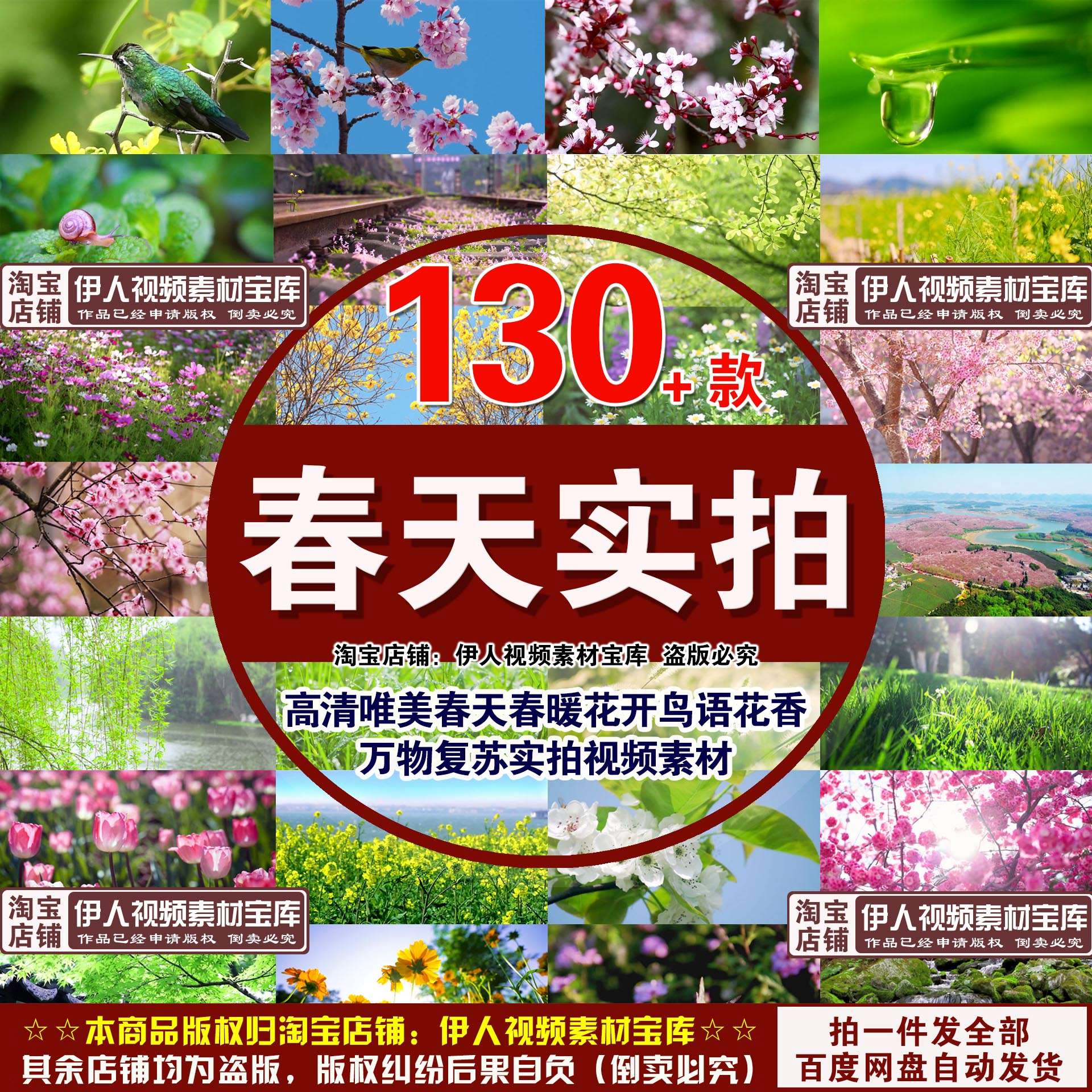 高清唯美春天实拍视频素材春暖花开鸟语花香万物复苏实拍视频素材