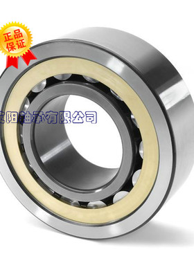 德日进DRJ圆柱滚子轴承 NU2322EM/P5 C4  32622 尺寸：110*240*80