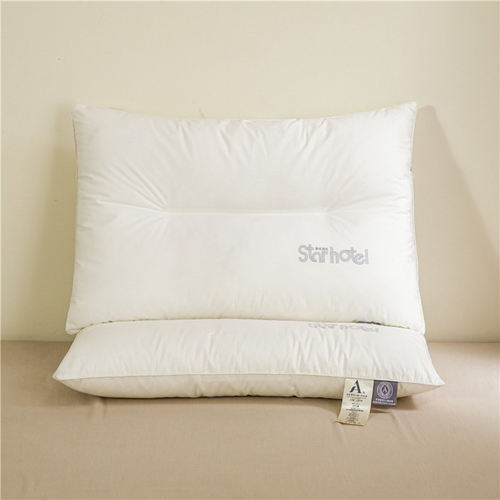 A类全棉枕芯1只装暖分子家纺成人