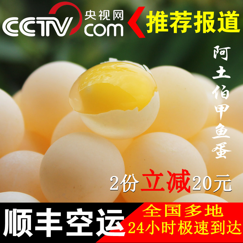 【优质】甲鱼蛋中华鳖蛋水鱼蛋王八蛋鳖可食用新鲜顺丰空运老土鳖
