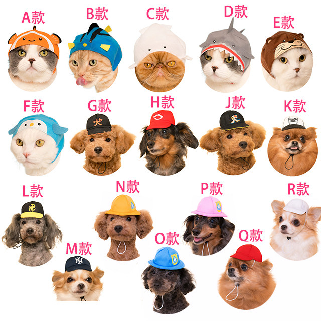 现货日版奇谭用帽子狗猫咪扭蛋