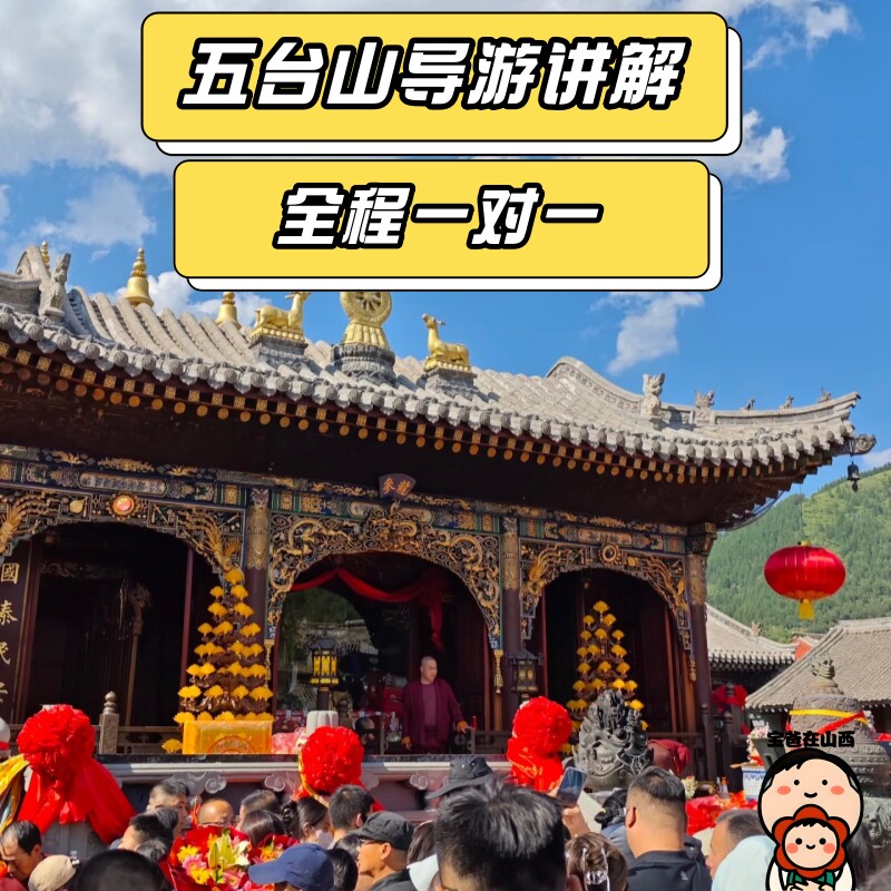 五台山金牌导游讲解全程一对一