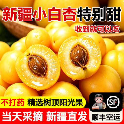 新疆直发正宗轮台小白杏自然熟现摘当季新鲜甜杏子产地顺丰空运