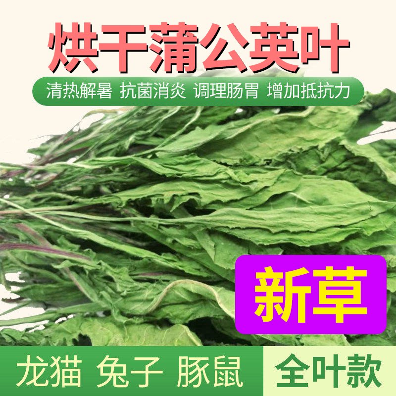 兔子蒲公英干草抗菌消炎