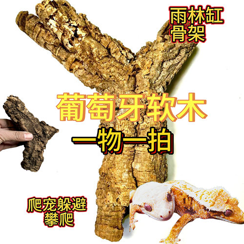 土豆哥葡萄牙软木树洞躲避攀爬