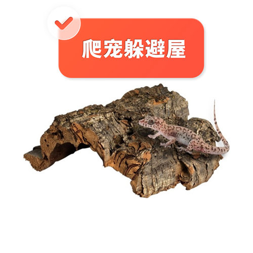 【葡萄牙软木弧形躲避】爬宠树洞蜥蜴蛇天然躲避香槟树洞爬虫造景