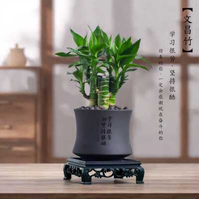 带根文昌竹金榜提名办公室内书桌