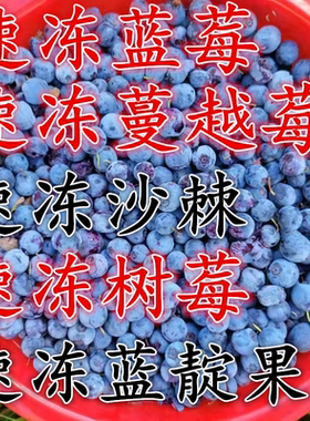 野生蓝莓蔓越莓蓝靛果树莓沙棘