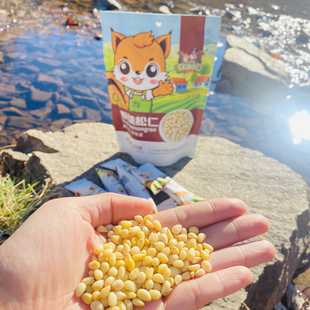 125克大兴安岭野生马尾松仁新货产地发货量大优惠坚果偃松