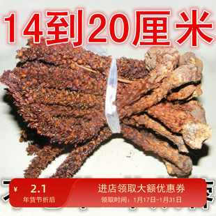 散产地东北大兴安岭不老草山苞米苁蓉列当泡酒料整根14-20cm